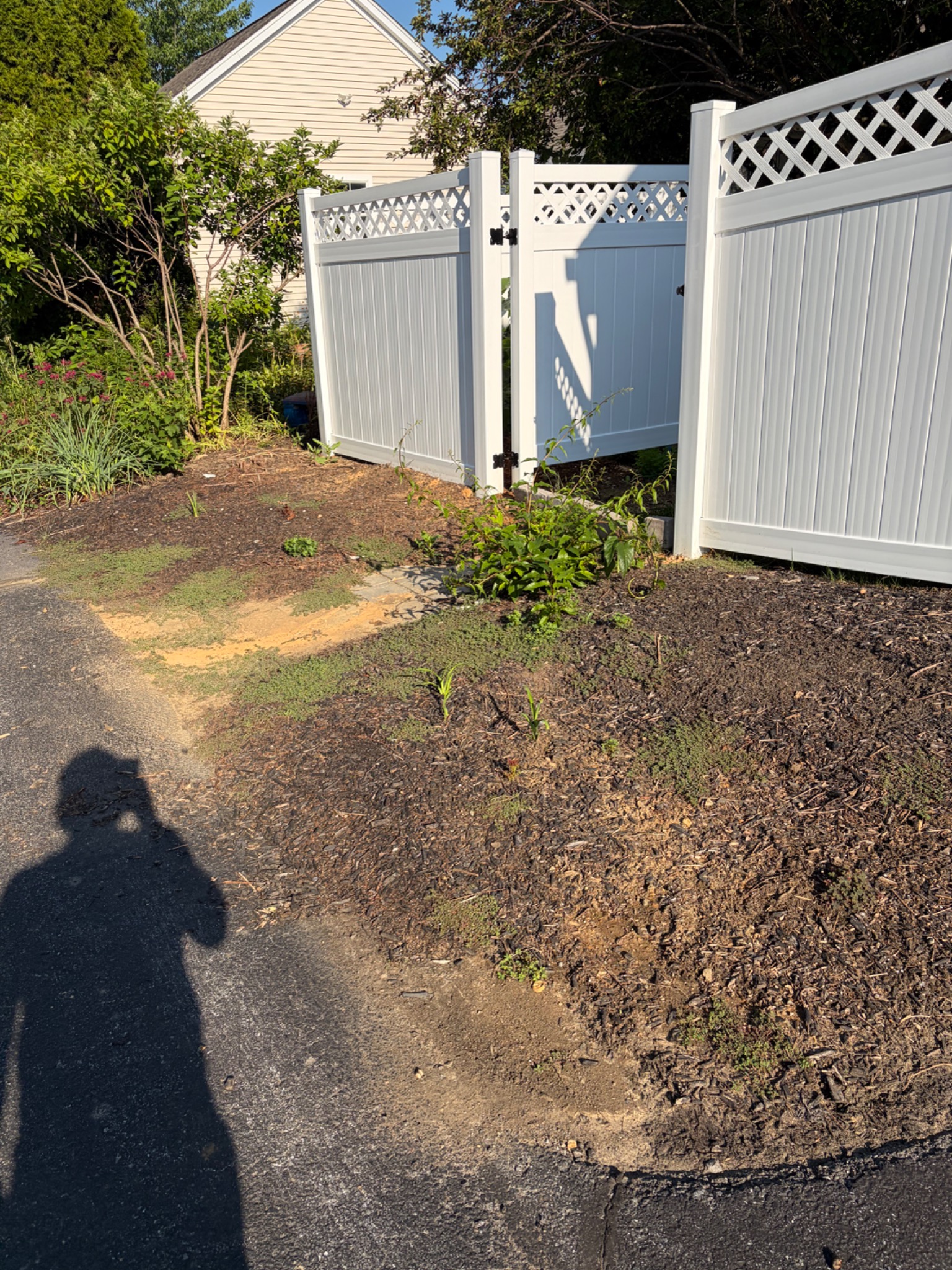 Before cleanup: weeds and old mulch around a fence gate