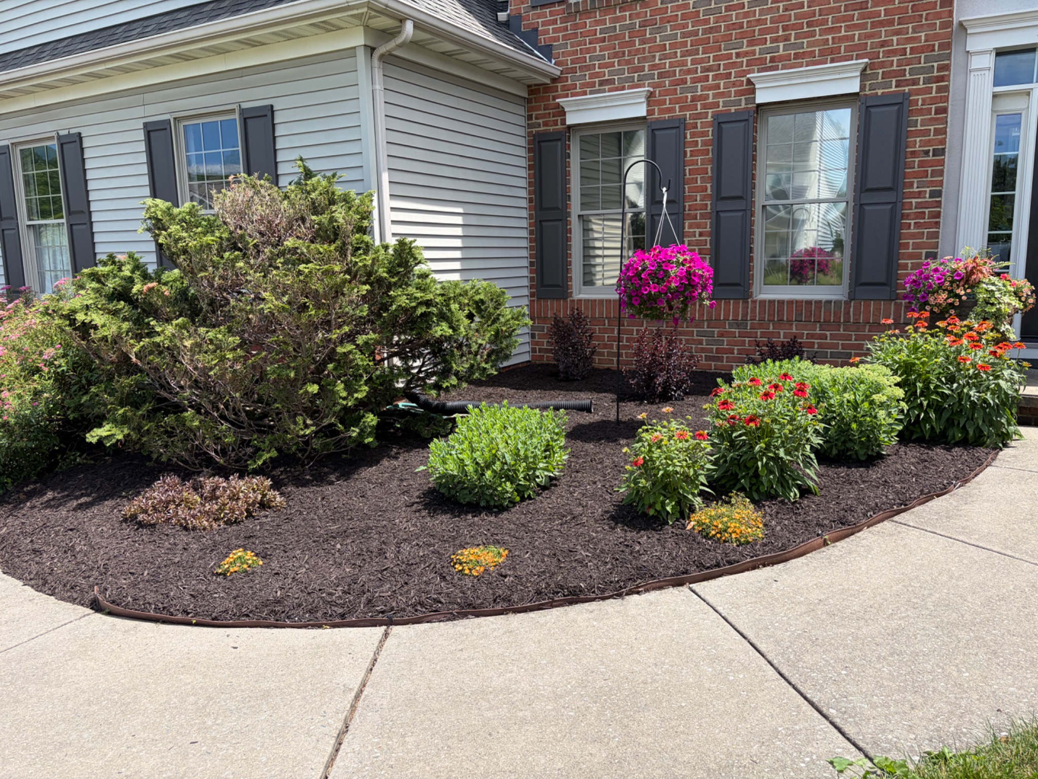 Mulched flower bed with colorful perennials beside a curved walkway