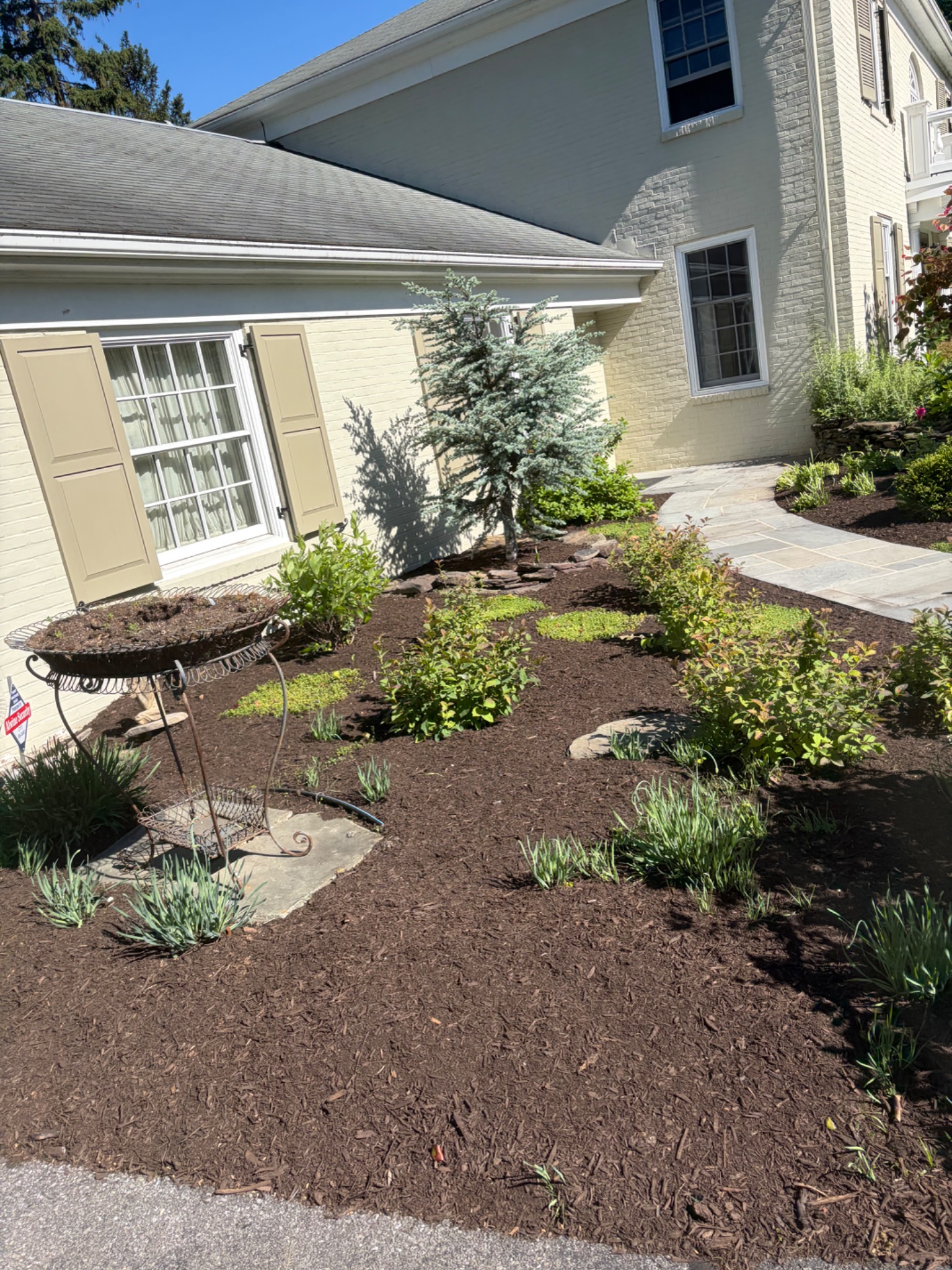 Mulched garden with established plants beside a stone walkway